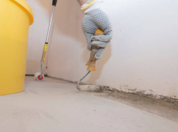 Best Fumigation Services  in Crockett, CA